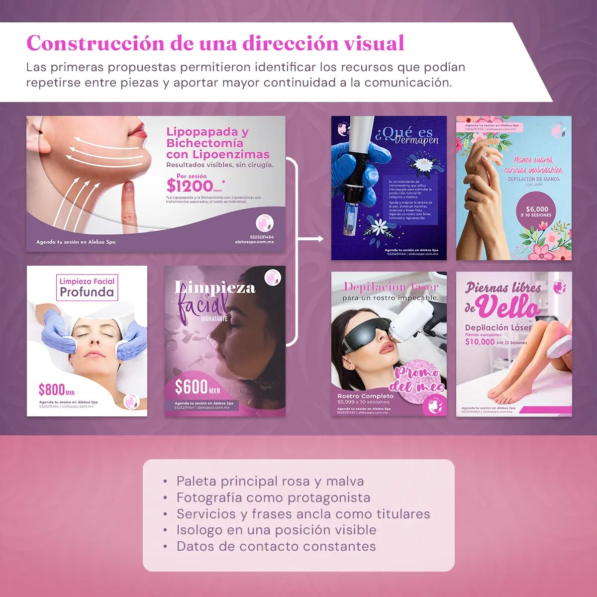 Construcción de una dirección visual para la comunicación de Aleksa Spa