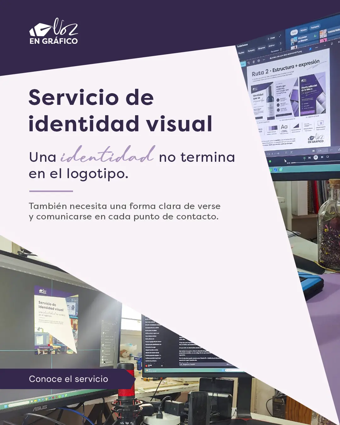 Publicación institucional del sistema visual de Voz en Gráfico